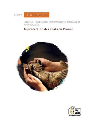 La protection des chats en France