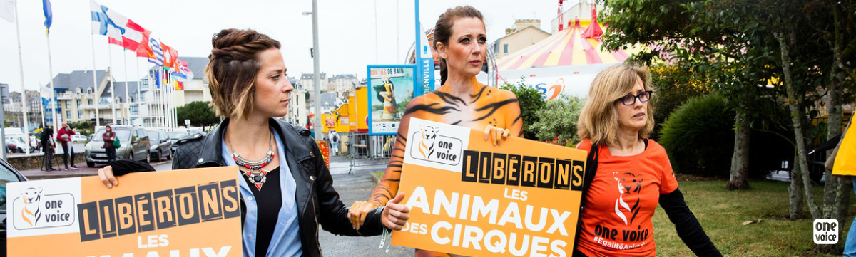 Chaque jour est un jour de trop ! One Voice en action à Granville pour les animaux des cirques en France