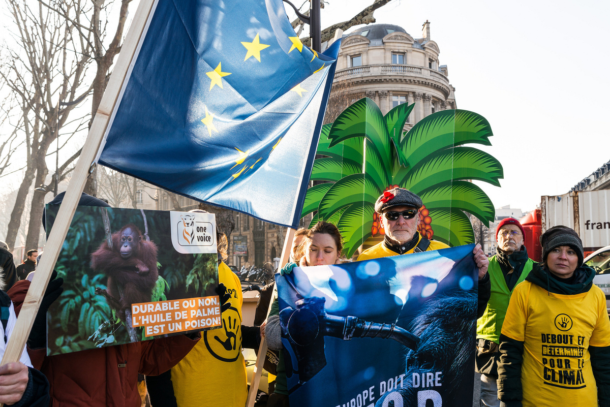 Des mobilisations de Paris à Rome pour dire à l’UE : STOP à l’huile de palme dans les carburants !