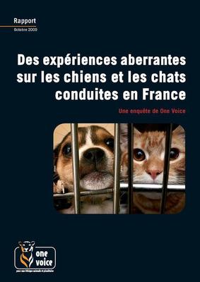 Des expériences aberrantes sur les chiens et les chats conduites en France