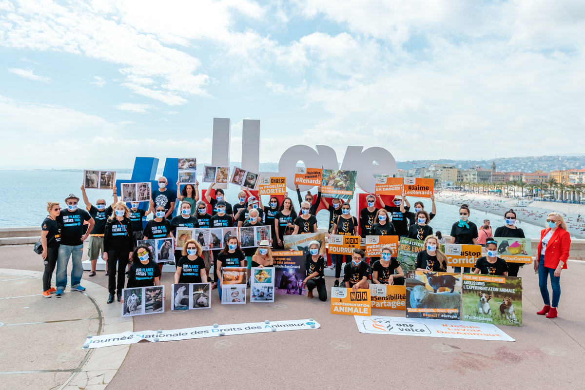 Le 5 juin, One Voice fait vivre la Journée nationale des droits des animaux (NARD) dans cinq villes de France