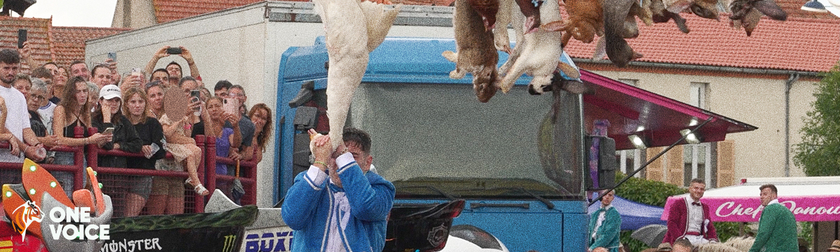 Animals’ heads torn off: One Voice reveals its investigation footage on the goose neck game