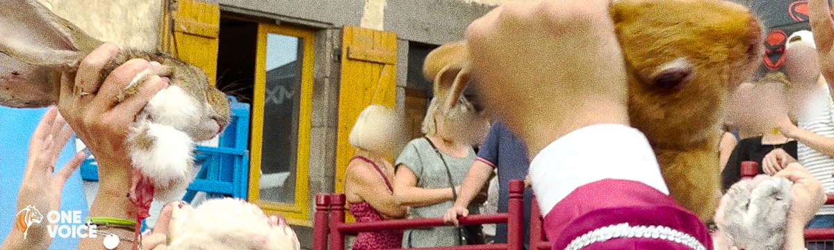 One Voice saisit la justice pour faire la lumière sur le jeu du cou de l’oie de Saint-Bonnet-près-Riom