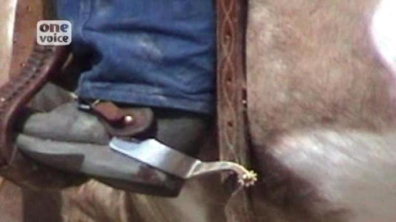 One Voice - Démonstration brutale pour les chevaux des Manades Video