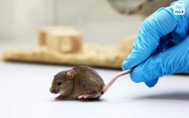 Expérimentation: bravo les chiffres, rien ne change!