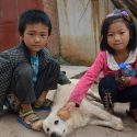 Protection for animals in China: raise awareness from an early age