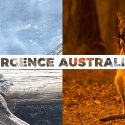 Fonds d’Actions Solidaires, Urgence Australie