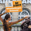 Air France: Stop the freight of primates for animal testing!
