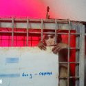 Animal testing: investigation from One Voice in Mauritius into long-tailed macaque breeding farms