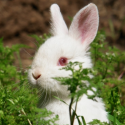 A European project that urgently needs our support