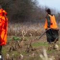 Le gouvernement refuse de sécuriser la chasse, nous l’attaquons en justice