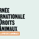 En décembre, One Voice se mobilise pour la Journée internationale des droits des animaux