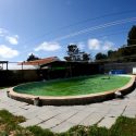 But where is Martinha, the dolphin saved then held in a tiny pool for a decade?