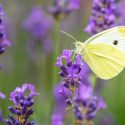 Rejoignez le réseau des Arches de Nature !