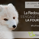 A new fashion from La Redoute “no fur”