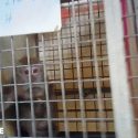 Because it is not only France: macaques from the island of Mauritius in the hands of European and American research