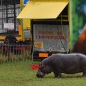 Une nouvelle plainte pour Jumbo