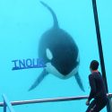 In court against the lack of clarity of Marineland and the State
