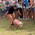 Nous avons reçu des images et vidéos du 46ème tiercé de cochons de Vabres l’Abbaye. Elles donnent à voir des cochons hurlants, exposés à la foule et au bruit et forcés à avancer le plus rapidement possible… Nous avons écrit au maire.