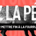 The ECI For a Fur Free Europe: put an end to the fur industry in Europe