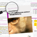 Animal testing lobby Gircor does not like our report on primates