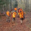 Hunting during lockdown: special privileges for hunters were illegal