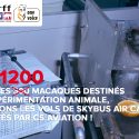 Empêchons l’envoi par avion de macaques vers les laboratoires!