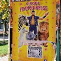 Nous défendrons les animaux du Cirque Franco-Belge devant la justice.