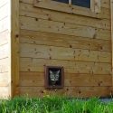Chatipi: le programme de One Voice pour les chats sans abri!