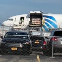 Hundreds of monkeys unloaded from the cargo of an Egyptair plane at JFK Airport