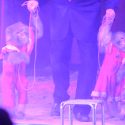Grand Cirque de Rome, la maltraitance en spectacle