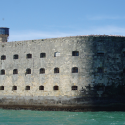 Fort Boyard: circus and vermin