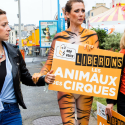 One day too much in the circuses! One Voice in action in Granville for animals