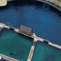 Pour les orques et les dauphins du Marineland d’Antibes : ni Japon, ni Dubaï, ni un autre parc, mais un sanctuaire !