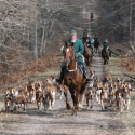 Hunting: terror in our countryside