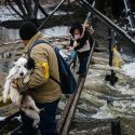 SOS for Ukraine’s animals