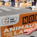 L’expérimentation animale à la radio