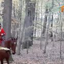 Incidents during a horse and hound hunt in Rambouillet woodland: One Voice is once again calling for a true hunting reform!