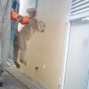 Injections, inoculations, and intoxication: Mauritian macaques in French laboratories