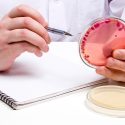 The scandal of Dépakine (Thalidomide): Animal experiments prove again to be dangerous
