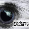 L&rsquo;expérimentation animale à travers leurs yeux
