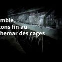 Passons à une ère définitivement sans cage!