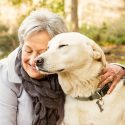 Un chien-objet ne peut pas être bon pour le cœur