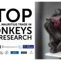 Des associations de protection animale de toute l’Europe demandent la fin du commerce mauricien de singes pour la recherche