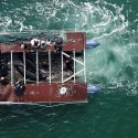 Prison des baleines : trois nouvelles orques libérées