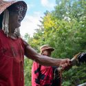 Rencontre avec la nation Lummi pour les orques du Sud