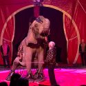 Samba — the eternal exploitation of a circus elephant