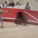 One Voice at the centre of the bullfights at the grape harvest bullfighting street festival in Nîmes