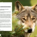 Loups : la Coordination Rurale de Haute-Vienne (CR87) tente de bâillonner One Voice en faisant interdire une manifestation