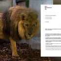 Pour le gouvernement, les animaux sauvages captifs des cirques peuvent bien attendre